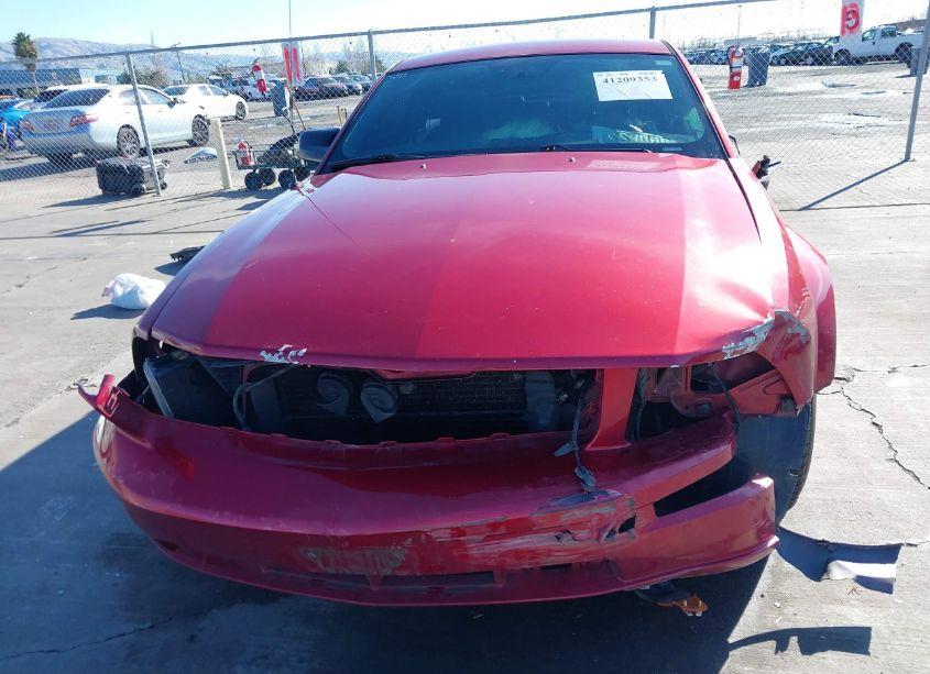 Photo 6 of 2005 Ford Mustang GT (VIN 1ZVFT82H955257393)