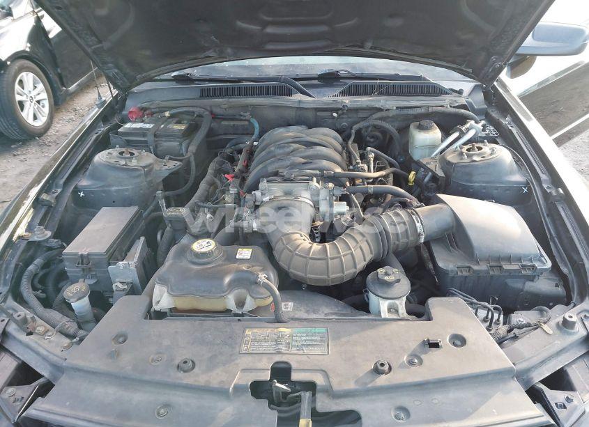 Photo 10 of 2006 Ford Mustang GT (VIN 1ZVFT82H965129785)