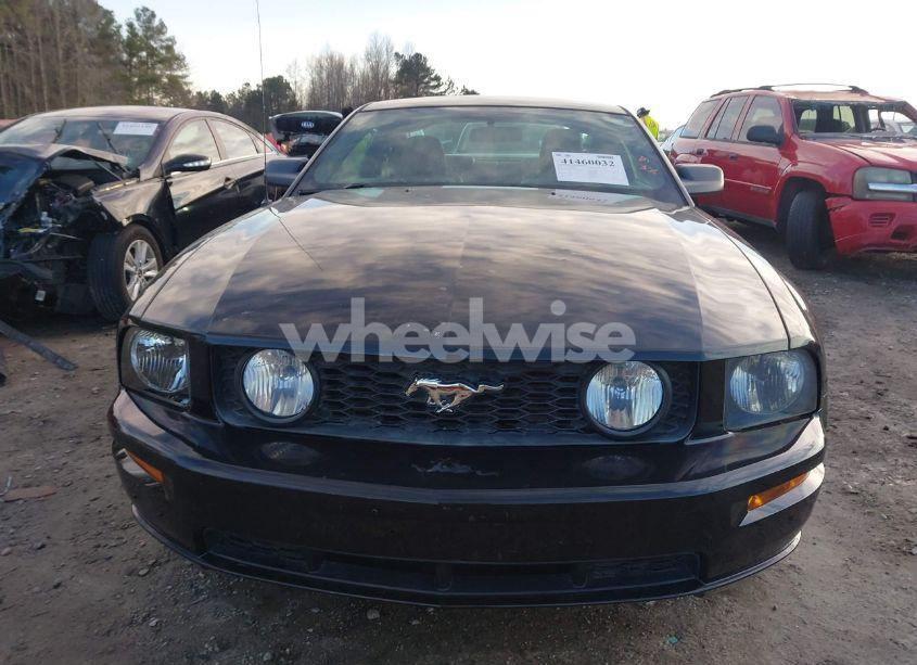 Photo 13 of 2006 Ford Mustang GT (VIN 1ZVFT82H965129785)