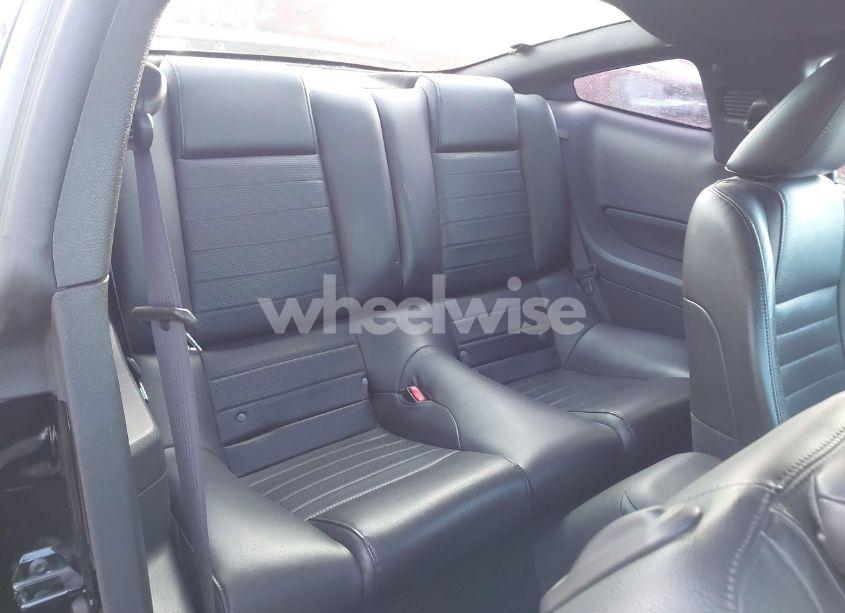 Photo 8 of 2006 Ford Mustang GT (VIN 1ZVFT82H965129785)