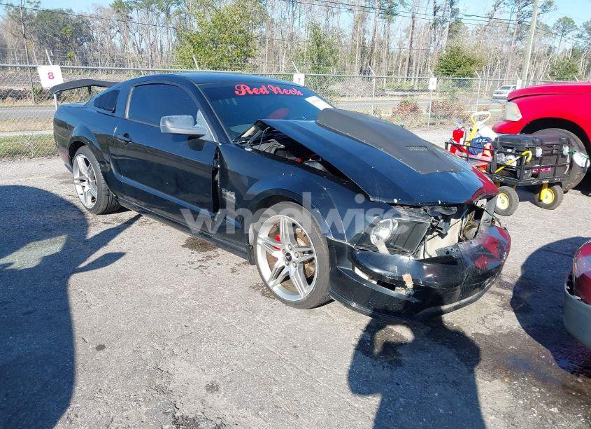 2006 Ford Mustang GT (VIN 1ZVFT82H965131407) main photo