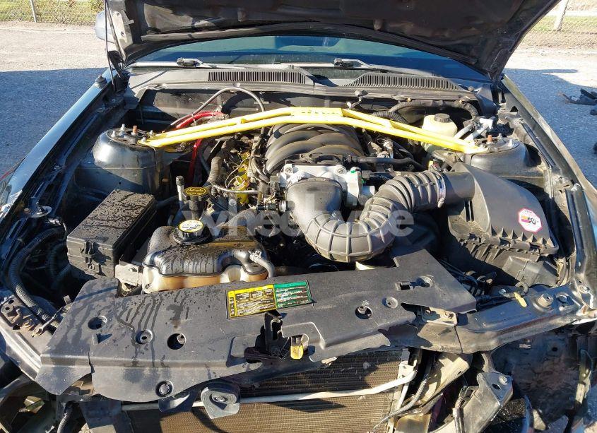 Photo 10 of 2006 Ford Mustang GT (VIN 1ZVFT82H965131407)