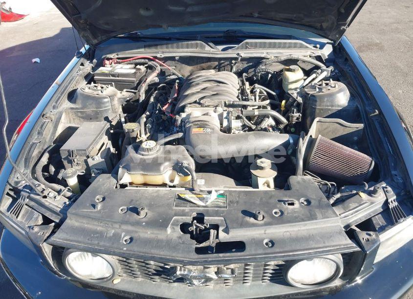 Photo 10 of 2006 Ford Mustang GT (VIN 1ZVFT82H965169610)