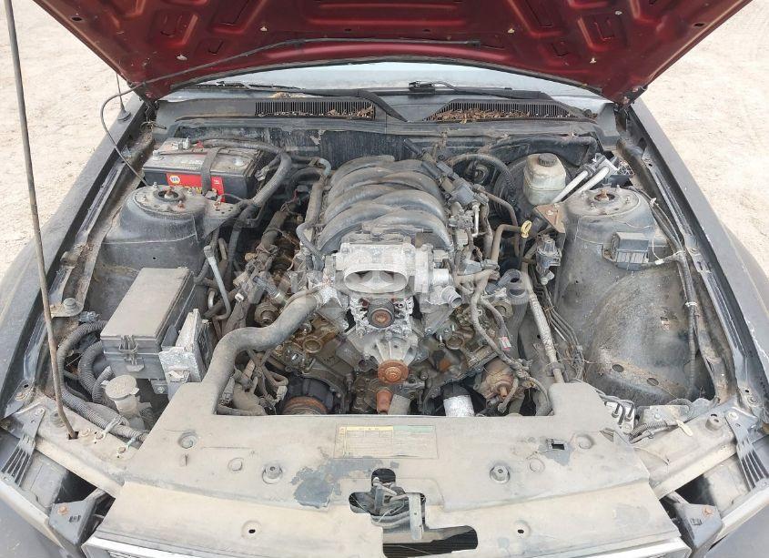 Photo 10 of 2006 Ford Mustang GT (VIN 1ZVFT82H965186360)