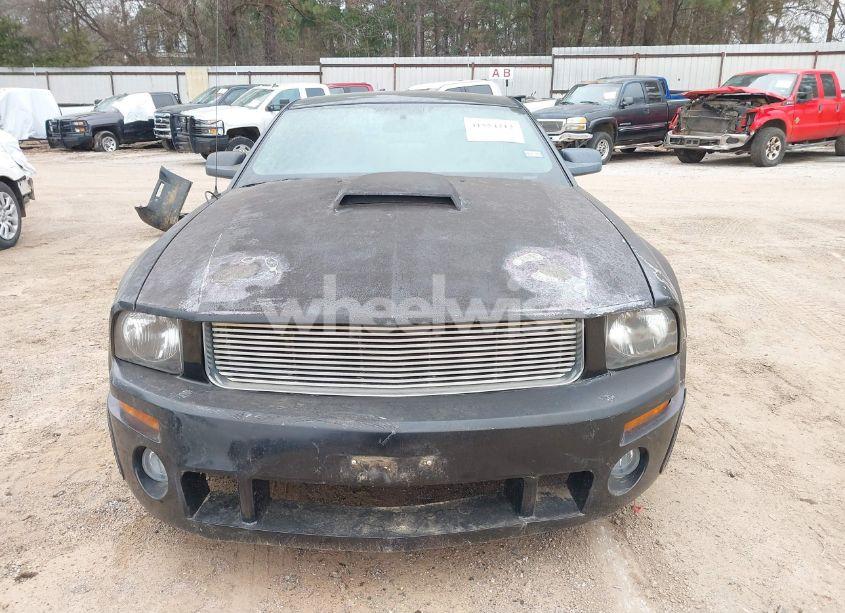 Photo 13 of 2006 Ford Mustang GT (VIN 1ZVFT82H965186360)