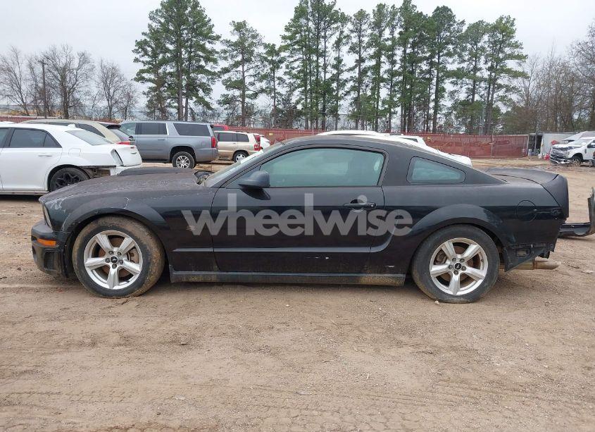 Photo 15 of 2006 Ford Mustang GT (VIN 1ZVFT82H965186360)