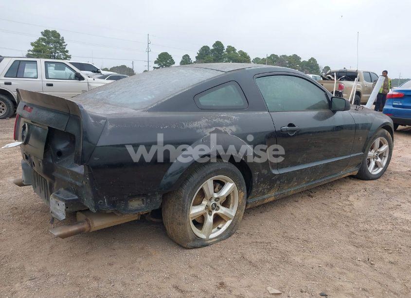 Photo 4 of 2006 Ford Mustang GT (VIN 1ZVFT82H965186360)