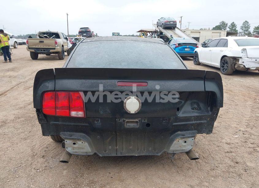 Photo 6 of 2006 Ford Mustang GT (VIN 1ZVFT82H965186360)