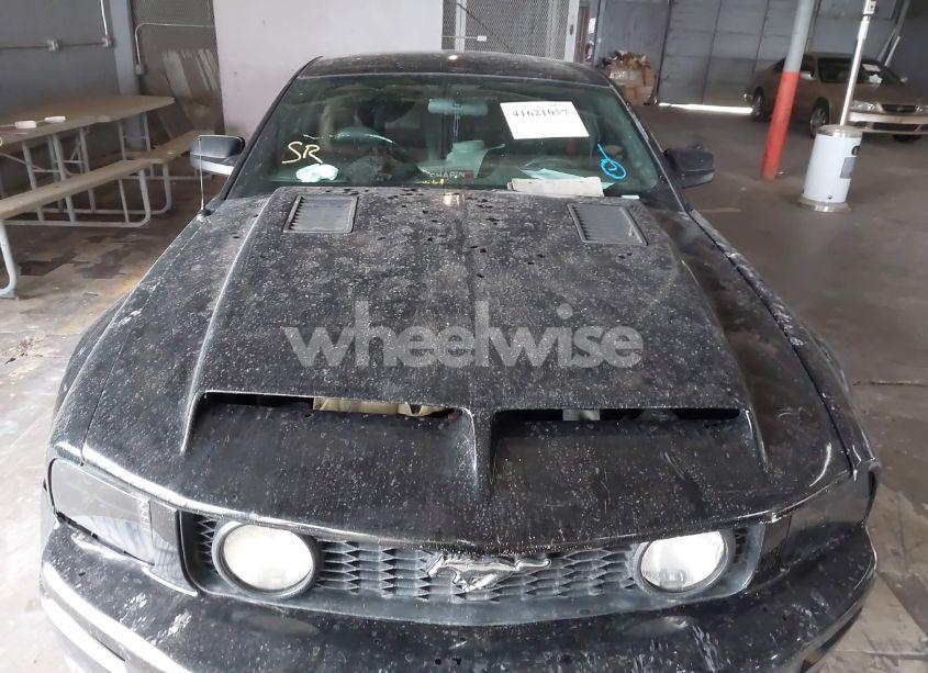 Photo 10 of 2006 Ford Mustang GT (VIN 1ZVFT82H965259758)