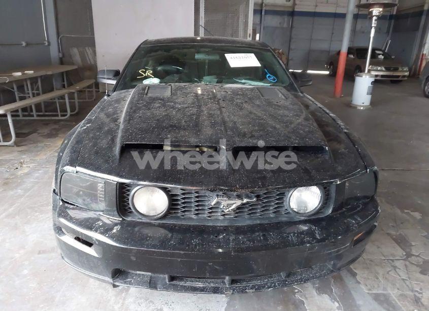 Photo 12 of 2006 Ford Mustang GT (VIN 1ZVFT82H965259758)
