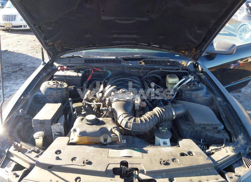 Photo 10 of 2007 Ford Mustang GT DELUXE/GT PREMIUM (VIN 1ZVFT82H975203935)