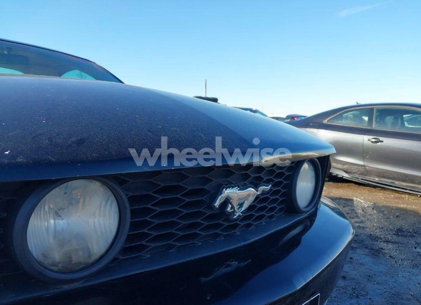 Photo 6 of 2007 Ford Mustang GT DELUXE/GT PREMIUM (VIN 1ZVFT82H975203935)