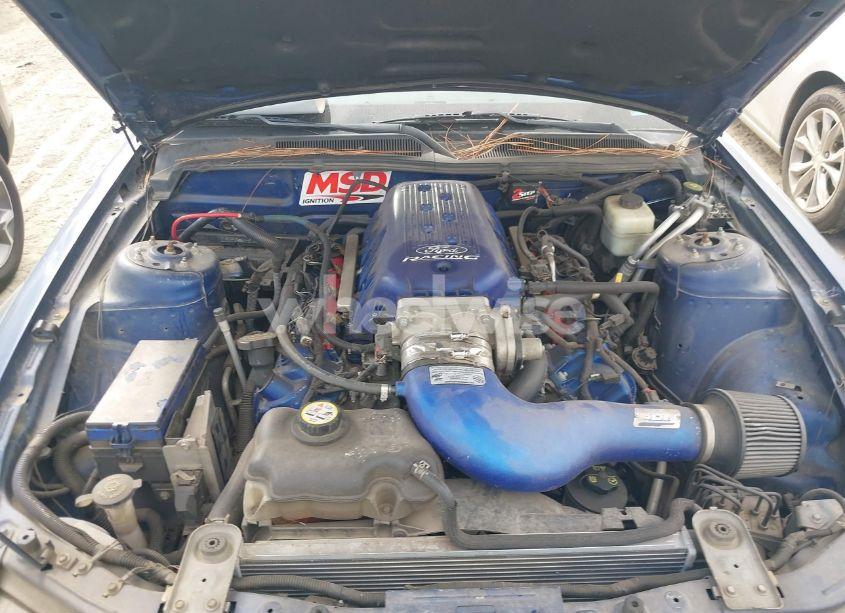 Photo 10 of 2007 Ford Mustang GT DELUXE/GT PREMIUM (VIN 1ZVFT82H975239818)