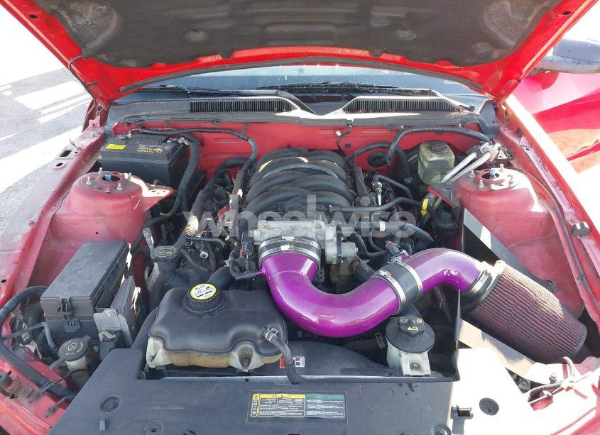 Photo 10 of 2006 Ford Mustang GT (VIN 1ZVFT82HX65131514)