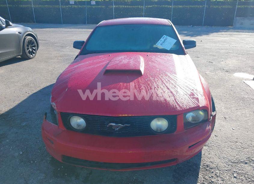 Photo 12 of 2006 Ford Mustang GT (VIN 1ZVFT82HX65131514)