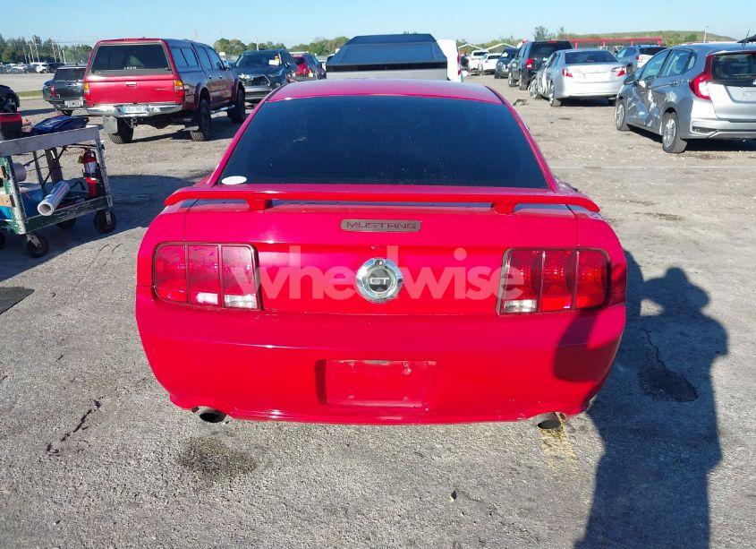 Photo 16 of 2006 Ford Mustang GT (VIN 1ZVFT82HX65131514)