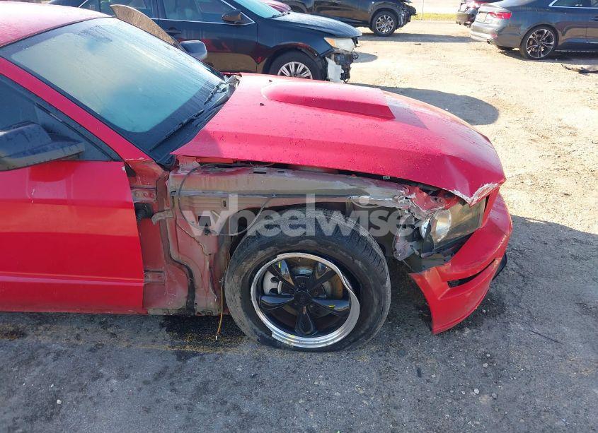 Photo 6 of 2006 Ford Mustang GT (VIN 1ZVFT82HX65131514)