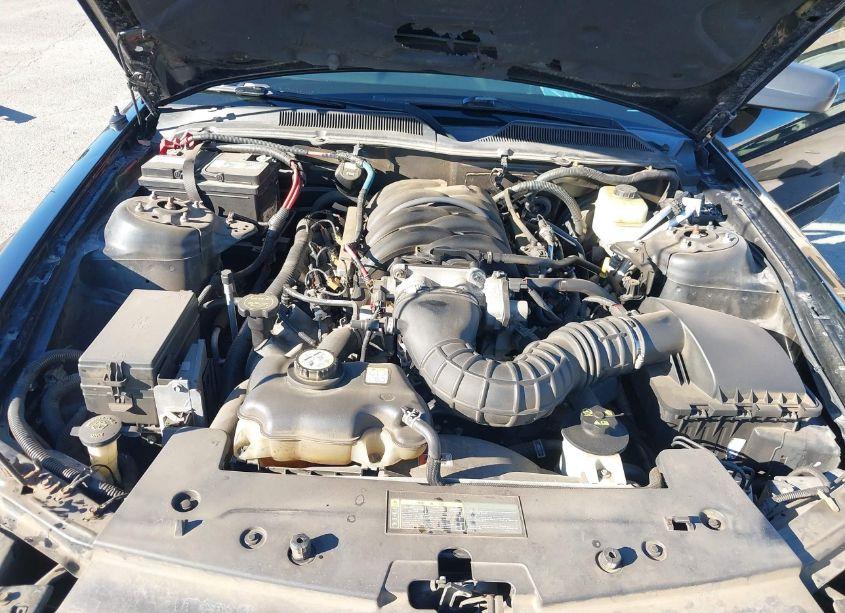 Photo 10 of 2006 Ford Mustang GT (VIN 1ZVFT82HX65223089)