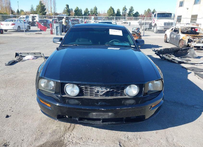 Photo 12 of 2006 Ford Mustang GT (VIN 1ZVFT82HX65223089)