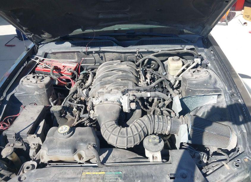 Photo 10 of 2007 Ford Mustang GT DELUXE/GT PREMIUM (VIN 1ZVFT82HX75212885)