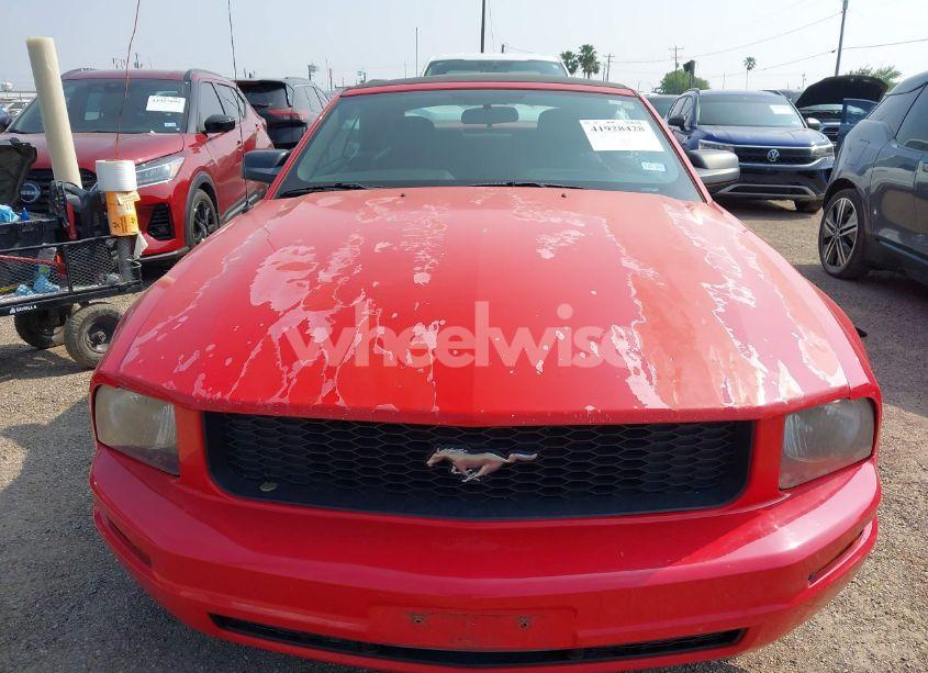 Photo 12 of 2005 Ford Mustang (VIN 1ZVFT84N055191982)
