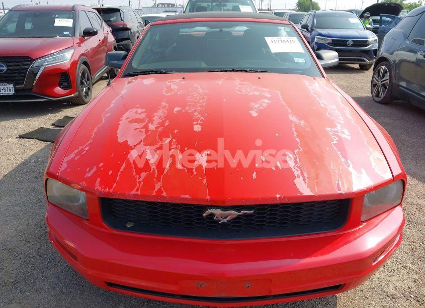 Photo 6 of 2005 Ford Mustang (VIN 1ZVFT84N055191982)