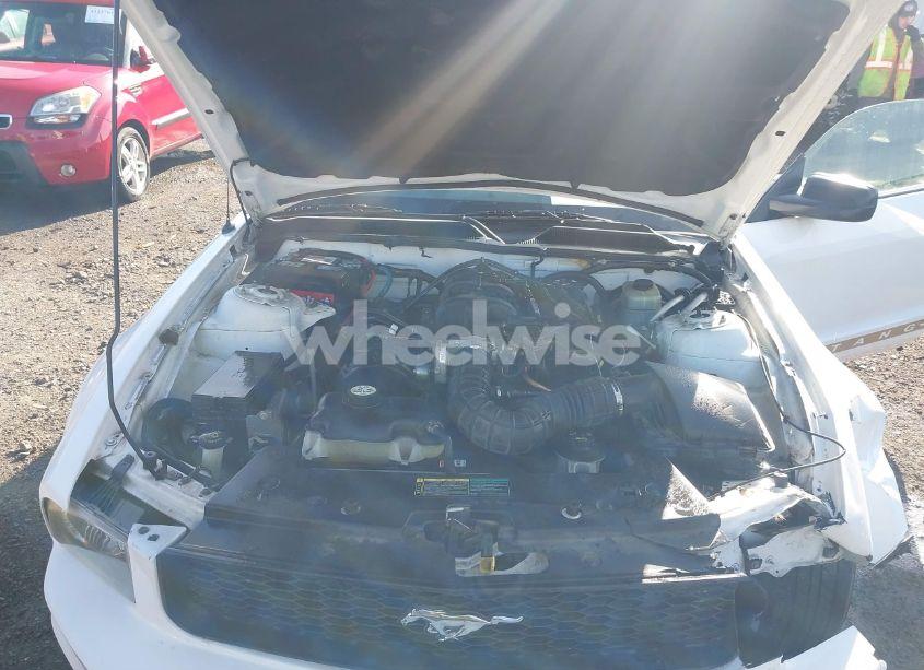 Photo 10 of 2005 Ford Mustang (VIN 1ZVFT84N055234717)