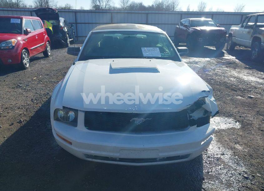 Photo 12 of 2005 Ford Mustang (VIN 1ZVFT84N055234717)