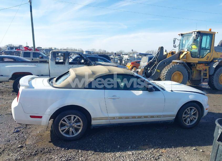 Photo 13 of 2005 Ford Mustang (VIN 1ZVFT84N055234717)