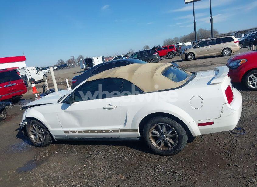 Photo 14 of 2005 Ford Mustang (VIN 1ZVFT84N055234717)