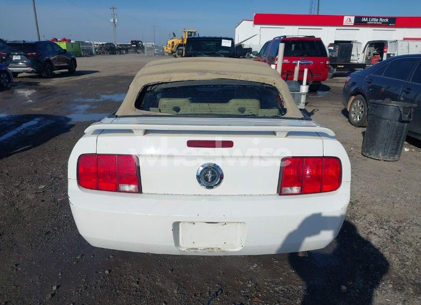 Photo 16 of 2005 Ford Mustang (VIN 1ZVFT84N055234717)