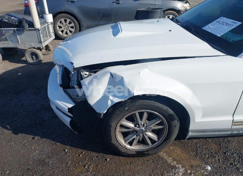 Photo 17 of 2005 Ford Mustang (VIN 1ZVFT84N055234717)