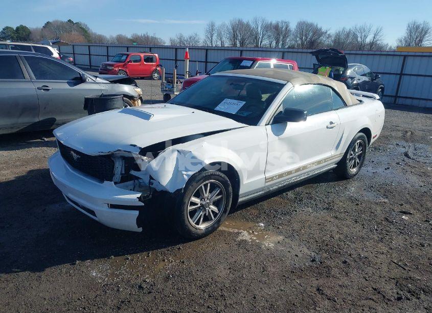 Photo 2 of 2005 Ford Mustang (VIN 1ZVFT84N055234717)