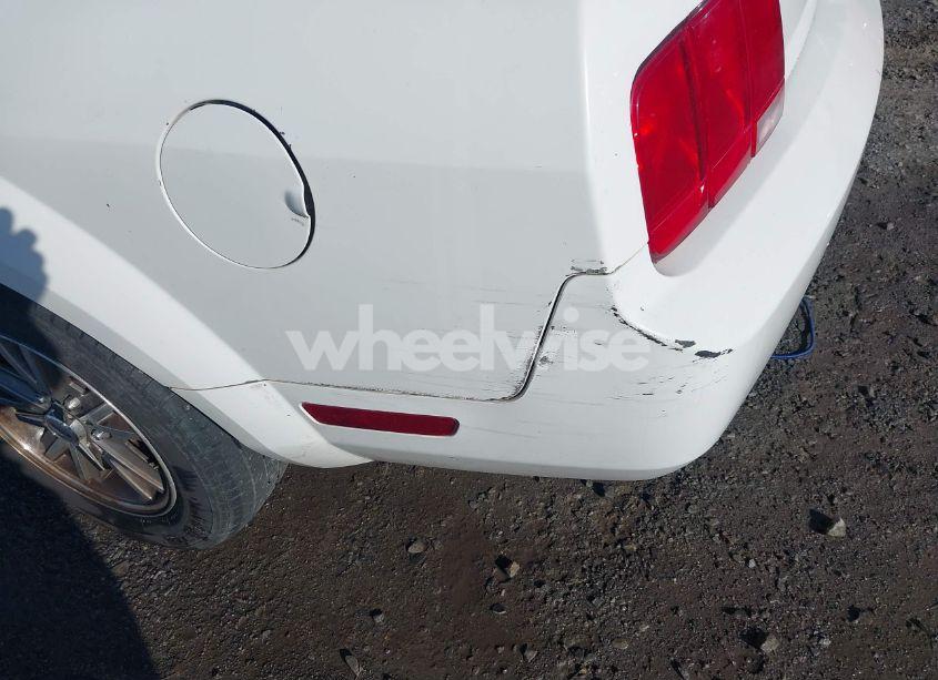 Photo 20 of 2005 Ford Mustang (VIN 1ZVFT84N055234717)