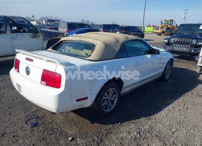 Photo 4 of 2005 Ford Mustang (VIN 1ZVFT84N055234717)