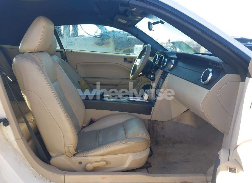 Photo 5 of 2005 Ford Mustang (VIN 1ZVFT84N055234717)