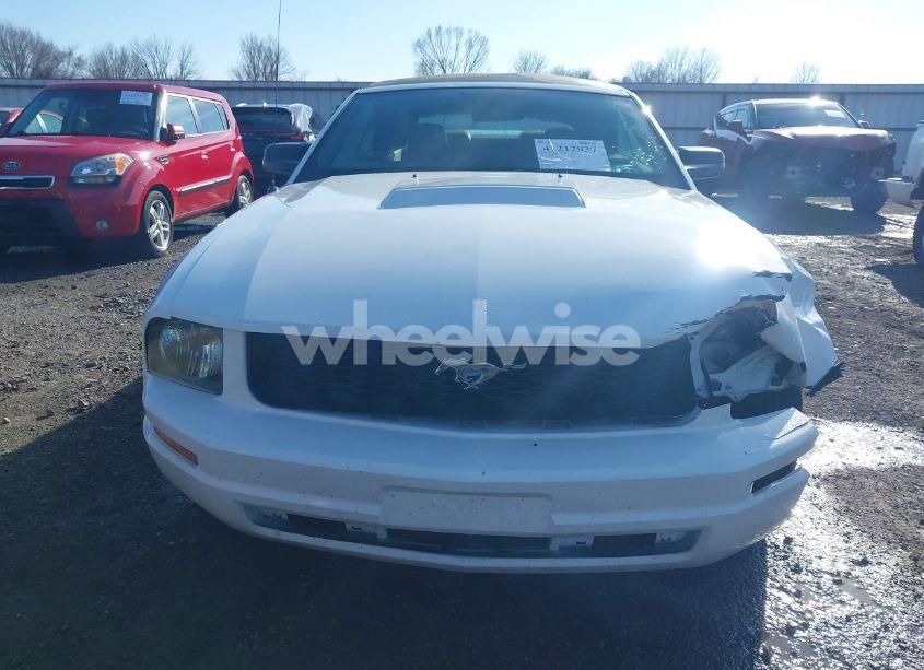 Photo 6 of 2005 Ford Mustang (VIN 1ZVFT84N055234717)