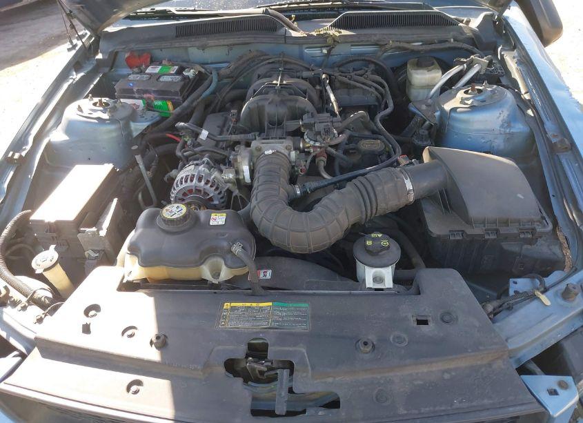 Photo 10 of 2006 Ford Mustang V6 (VIN 1ZVFT84N065169255)