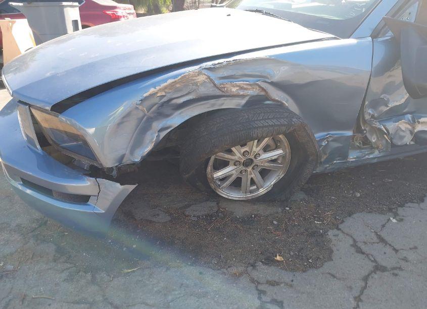 Photo 13 of 2006 Ford Mustang V6 (VIN 1ZVFT84N065169255)