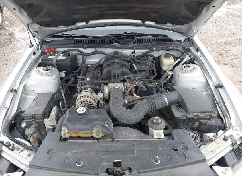 Photo 10 of 2007 Ford Mustang V6 DELUXE/V6 PREMIUM (VIN 1ZVFT84N075323738)