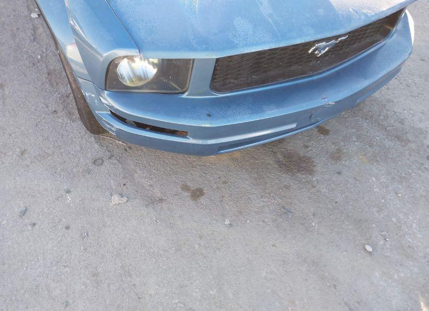 Photo 12 of 2007 Ford Mustang V6 DELUXE/V6 PREMIUM (VIN 1ZVFT84N075328972)