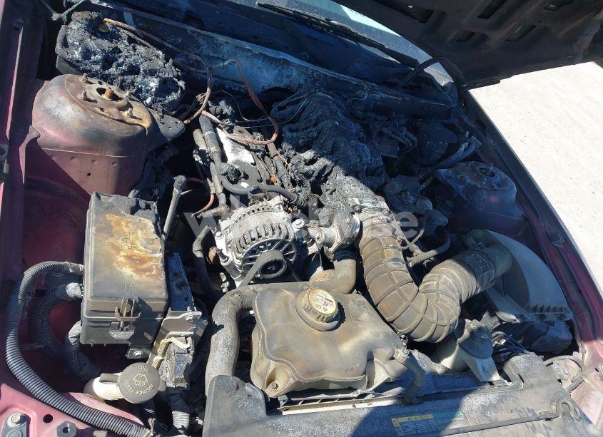 Photo 10 of 2006 Ford Mustang V6 (VIN 1ZVFT84N165244772)