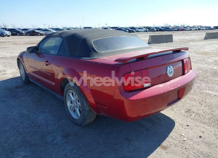 Photo 3 of 2006 Ford Mustang V6 (VIN 1ZVFT84N165244772)
