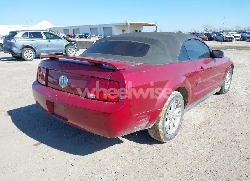 Photo 4 of 2006 Ford Mustang V6 (VIN 1ZVFT84N165244772)