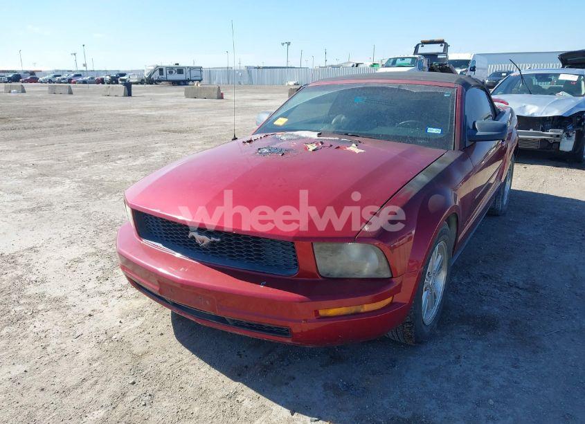 Photo 6 of 2006 Ford Mustang V6 (VIN 1ZVFT84N165244772)