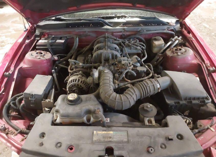 Photo 10 of 2007 Ford Mustang V6 DELUXE/V6 PREMIUM (VIN 1ZVFT84N175348938)