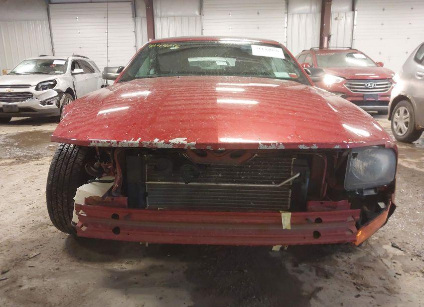 Photo 6 of 2007 Ford Mustang V6 DELUXE/V6 PREMIUM (VIN 1ZVFT84N175348938)