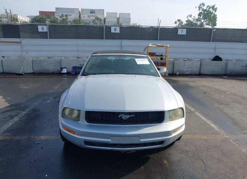 Photo 6 of 2005 Ford Mustang (VIN 1ZVFT84N255208314)