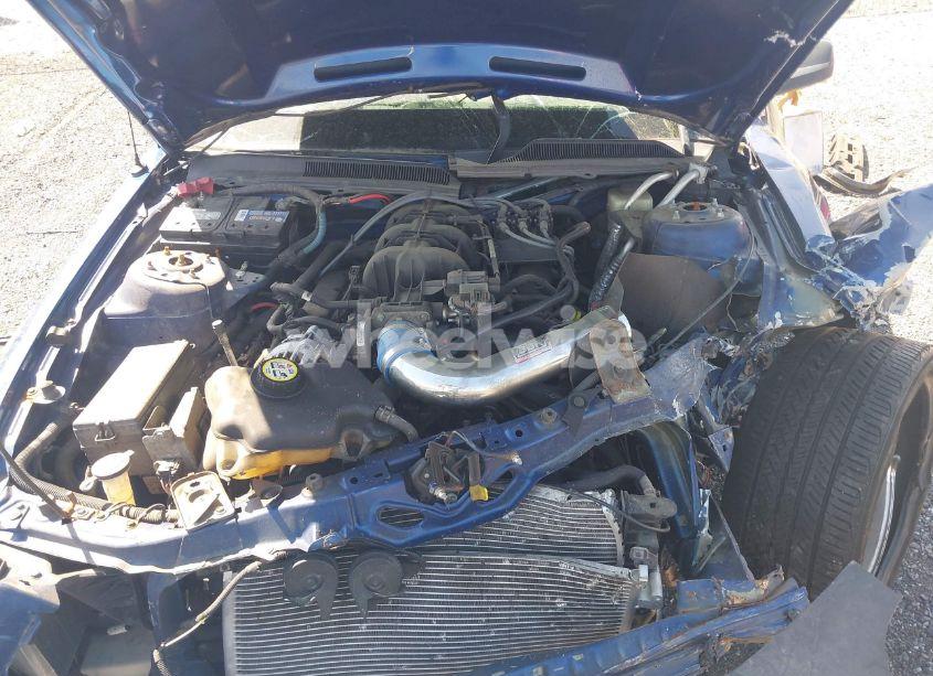 Photo 10 of 2006 Ford Mustang V6 (VIN 1ZVFT84N265125323)