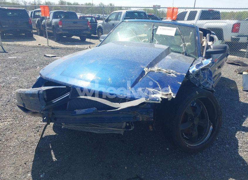 Photo 12 of 2006 Ford Mustang V6 (VIN 1ZVFT84N265125323)